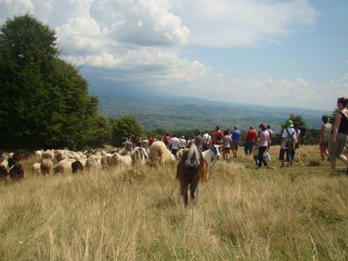 Foto Festival Lese (c) eMaramures.ro